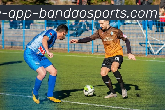 半岛体育服务体系